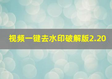 视频一键去水印破解版2.20