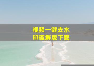 视频一键去水印破解版下载