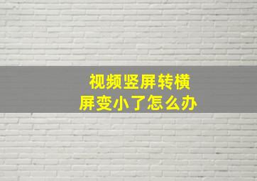 视频竖屏转横屏变小了怎么办