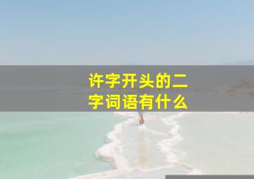 许字开头的二字词语有什么