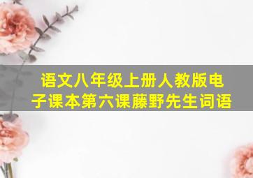 语文八年级上册人教版电子课本第六课藤野先生词语