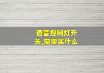 语音控制灯开关,需要买什么