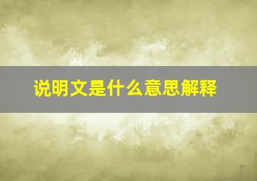 说明文是什么意思解释