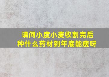 请问小度小麦收割完后种什么药材到年底能瘦呀