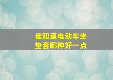 谁知道电动车坐垫套哪种好一点