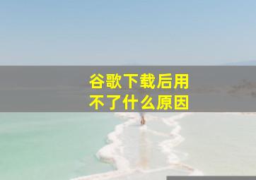 谷歌下载后用不了什么原因