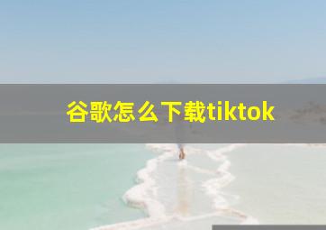 谷歌怎么下载tiktok