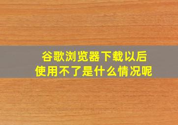 谷歌浏览器下载以后使用不了是什么情况呢