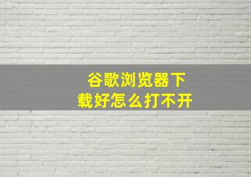 谷歌浏览器下载好怎么打不开