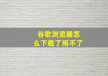 谷歌浏览器怎么下载了用不了