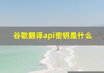 谷歌翻译api密钥是什么