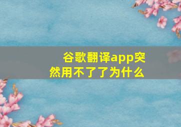 谷歌翻译app突然用不了了为什么