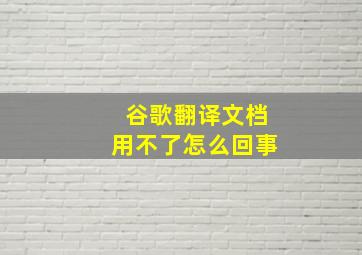 谷歌翻译文档用不了怎么回事