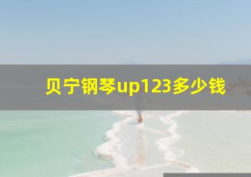 贝宁钢琴up123多少钱