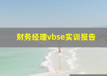 财务经理vbse实训报告