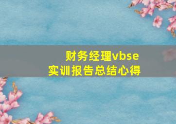 财务经理vbse实训报告总结心得