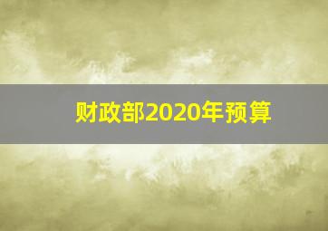 财政部2020年预算