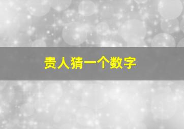 贵人猜一个数字