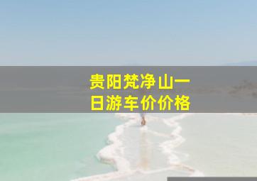 贵阳梵净山一日游车价价格