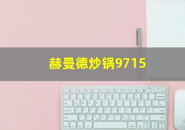 赫曼德炒锅9715