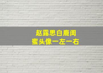 赵露思白鹿闺蜜头像一左一右