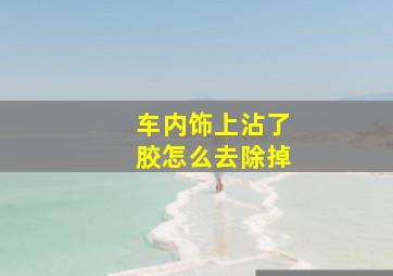 车内饰上沾了胶怎么去除掉