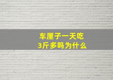 车厘子一天吃3斤多吗为什么