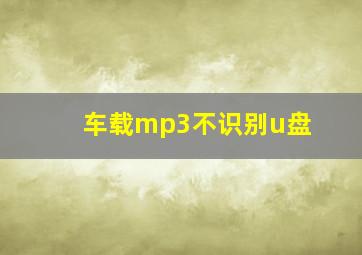 车载mp3不识别u盘