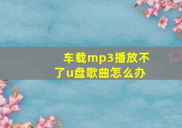 车载mp3播放不了u盘歌曲怎么办