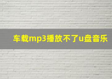 车载mp3播放不了u盘音乐