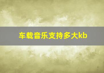 车载音乐支持多大kb