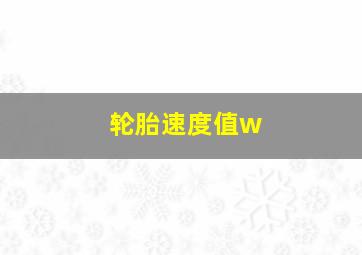 轮胎速度值w