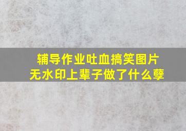 辅导作业吐血搞笑图片无水印上辈子做了什么孽