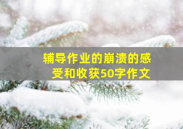 辅导作业的崩溃的感受和收获50字作文