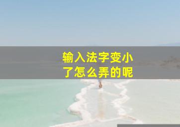 输入法字变小了怎么弄的呢