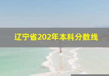 辽宁省202年本科分数线