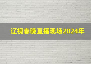 辽视春晚直播现场2024年