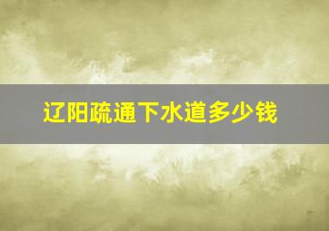 辽阳疏通下水道多少钱