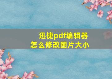 迅捷pdf编辑器怎么修改图片大小