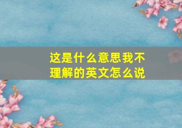 这是什么意思我不理解的英文怎么说