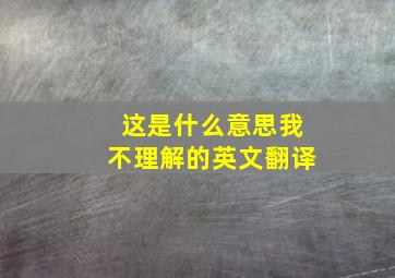 这是什么意思我不理解的英文翻译