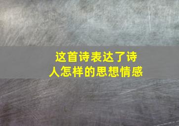 这首诗表达了诗人怎样的思想情感