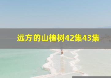 远方的山楂树42集43集