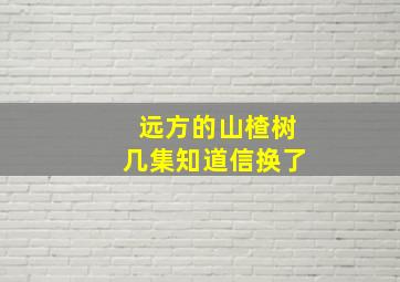 远方的山楂树几集知道信换了