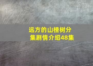 远方的山楂树分集剧情介绍48集