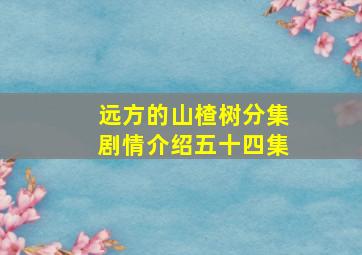 远方的山楂树分集剧情介绍五十四集