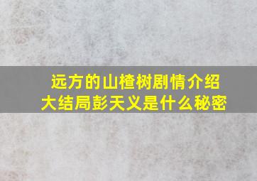 远方的山楂树剧情介绍大结局彭天义是什么秘密