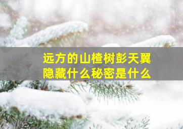 远方的山楂树彭天翼隐藏什么秘密是什么