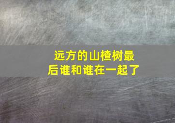 远方的山楂树最后谁和谁在一起了