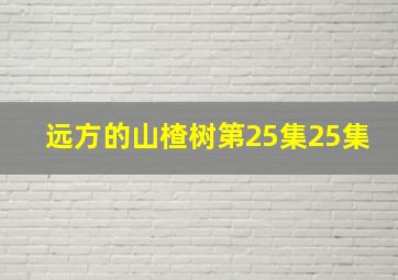 远方的山楂树第25集25集